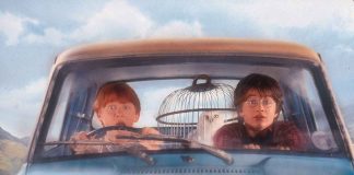 Harry Potter (ANSA)