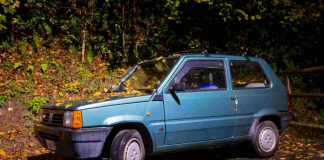 FIAT Panda (AdobeStock)