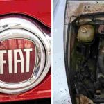 FIAT (Adobe Stock-YouTube)