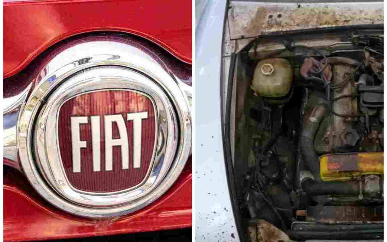 FIAT has not been washed for 38 years: see how it changes