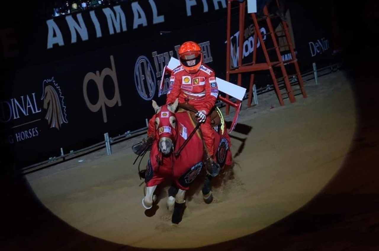 Gina Schumacher Ferrari, Reining