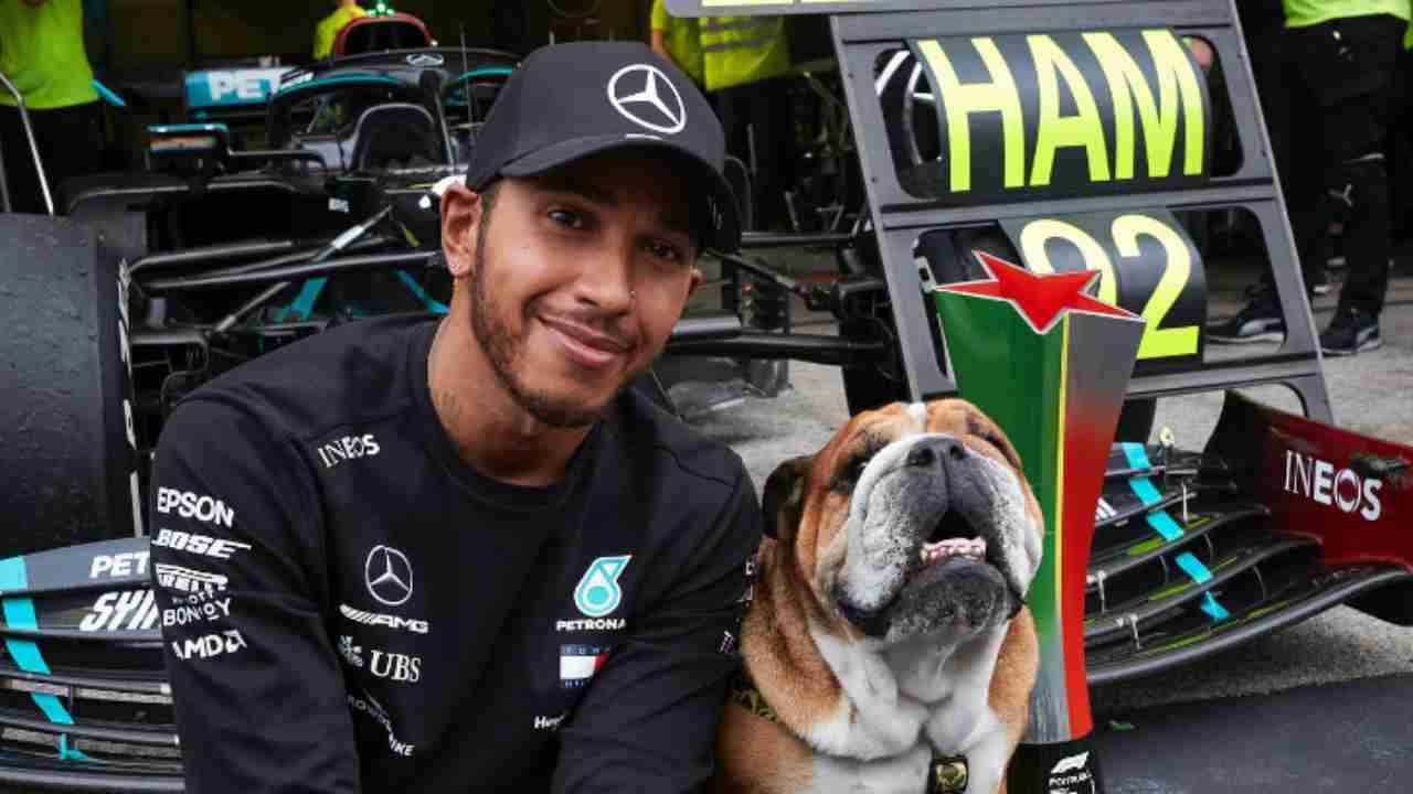 Lewis Hamilton Roscoe