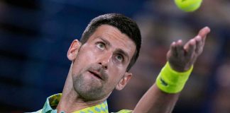 Novak Djokovic incidente auto