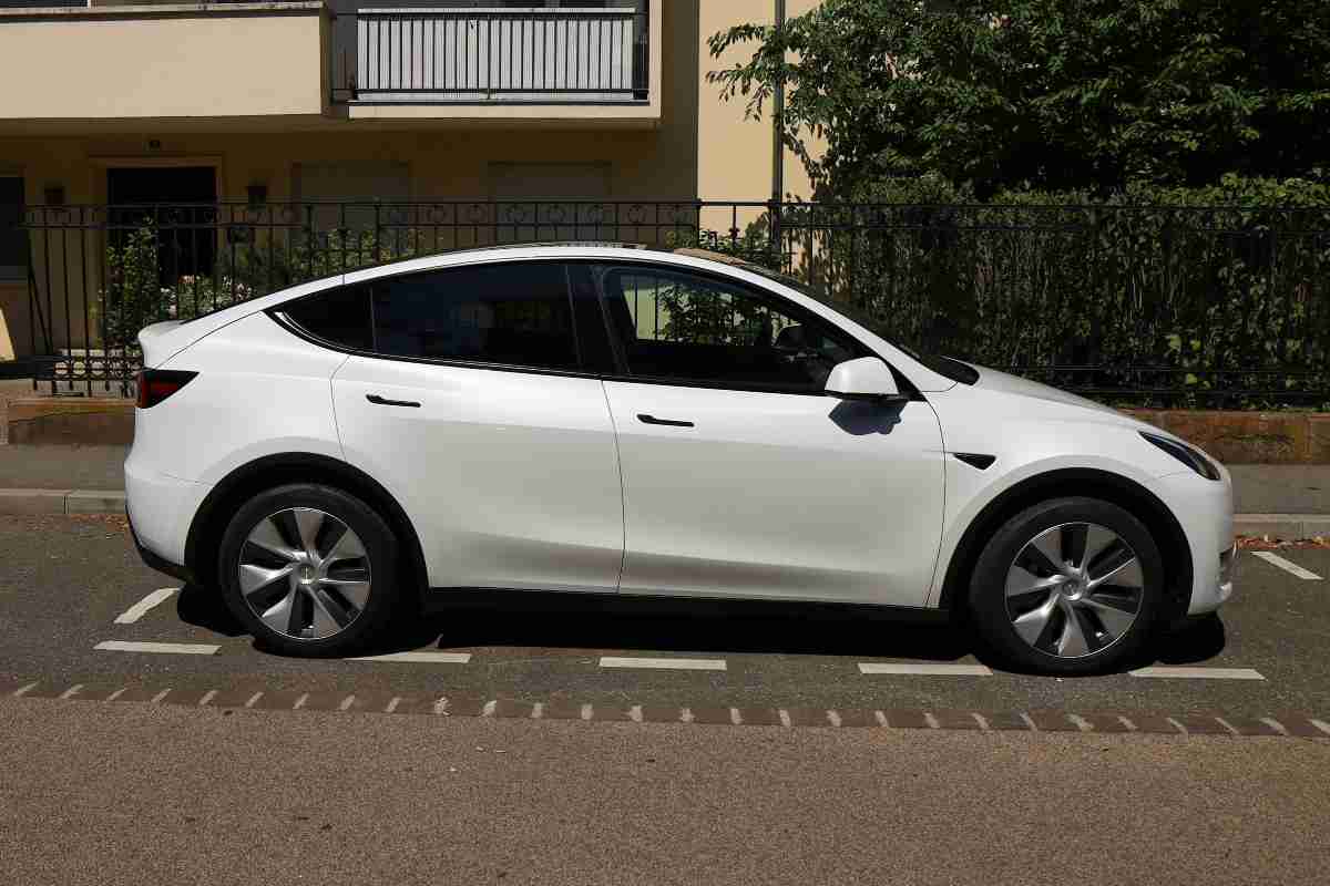 Tesla Model Y in "lotta" con Dacia Sandero