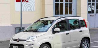 Cosa rischia per il 2025 la Panda