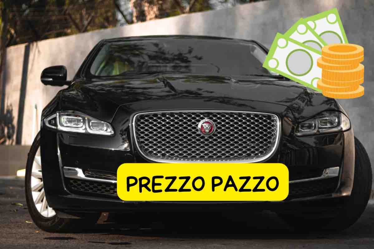 Jaguar valore milionario 