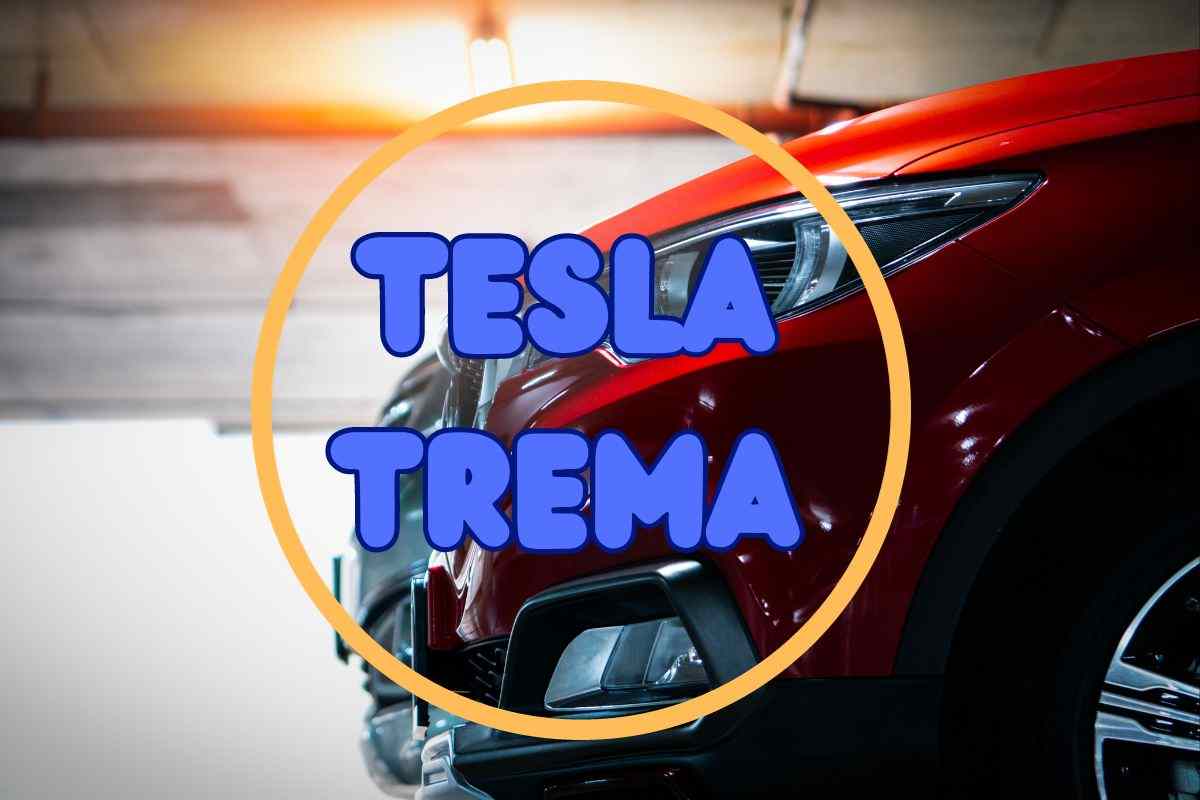 byd seal rivale tesla italia