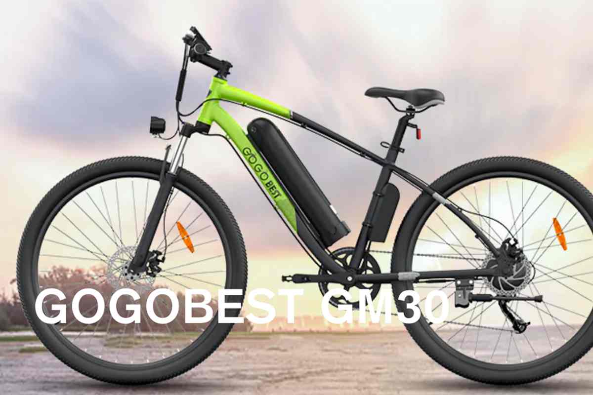 Gogobest Gm30