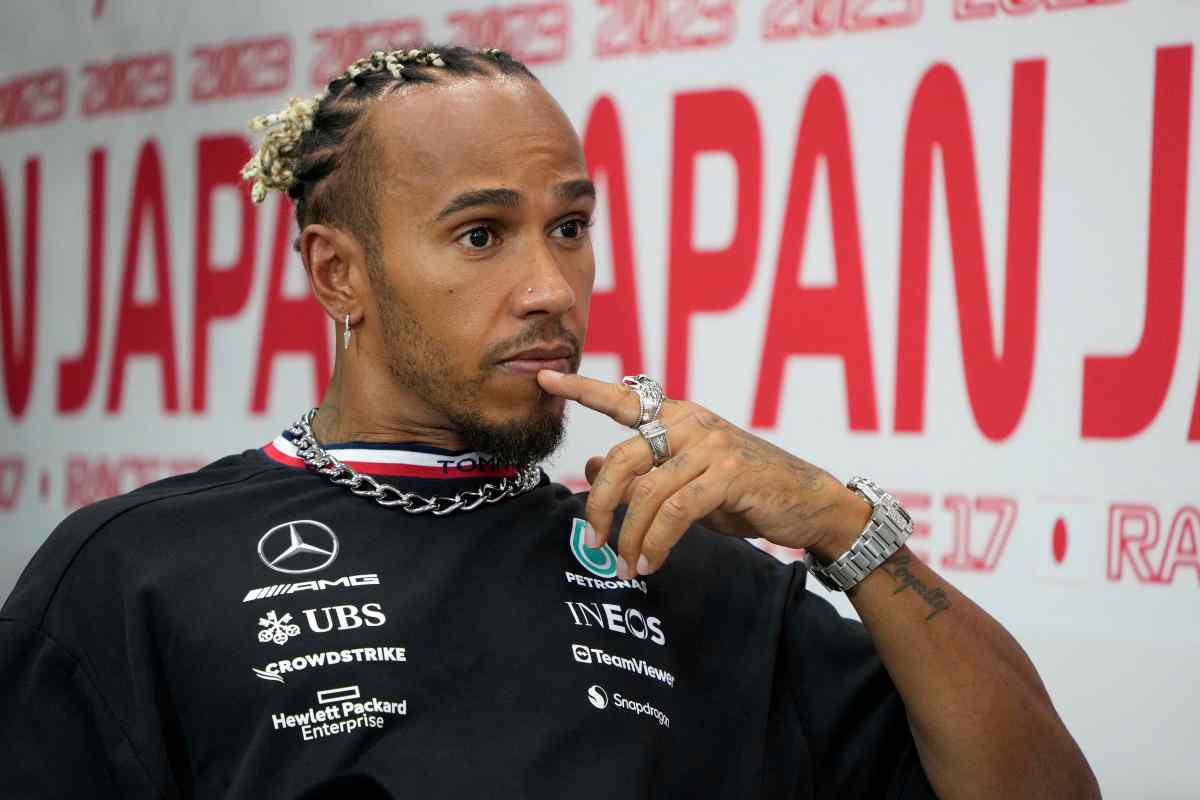 Hamilton bordata di Horner