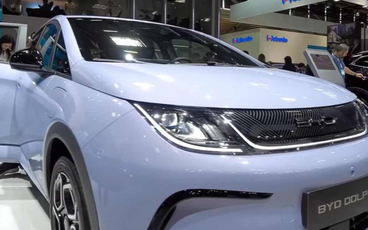 byd dolphin in arrivo nel 2024