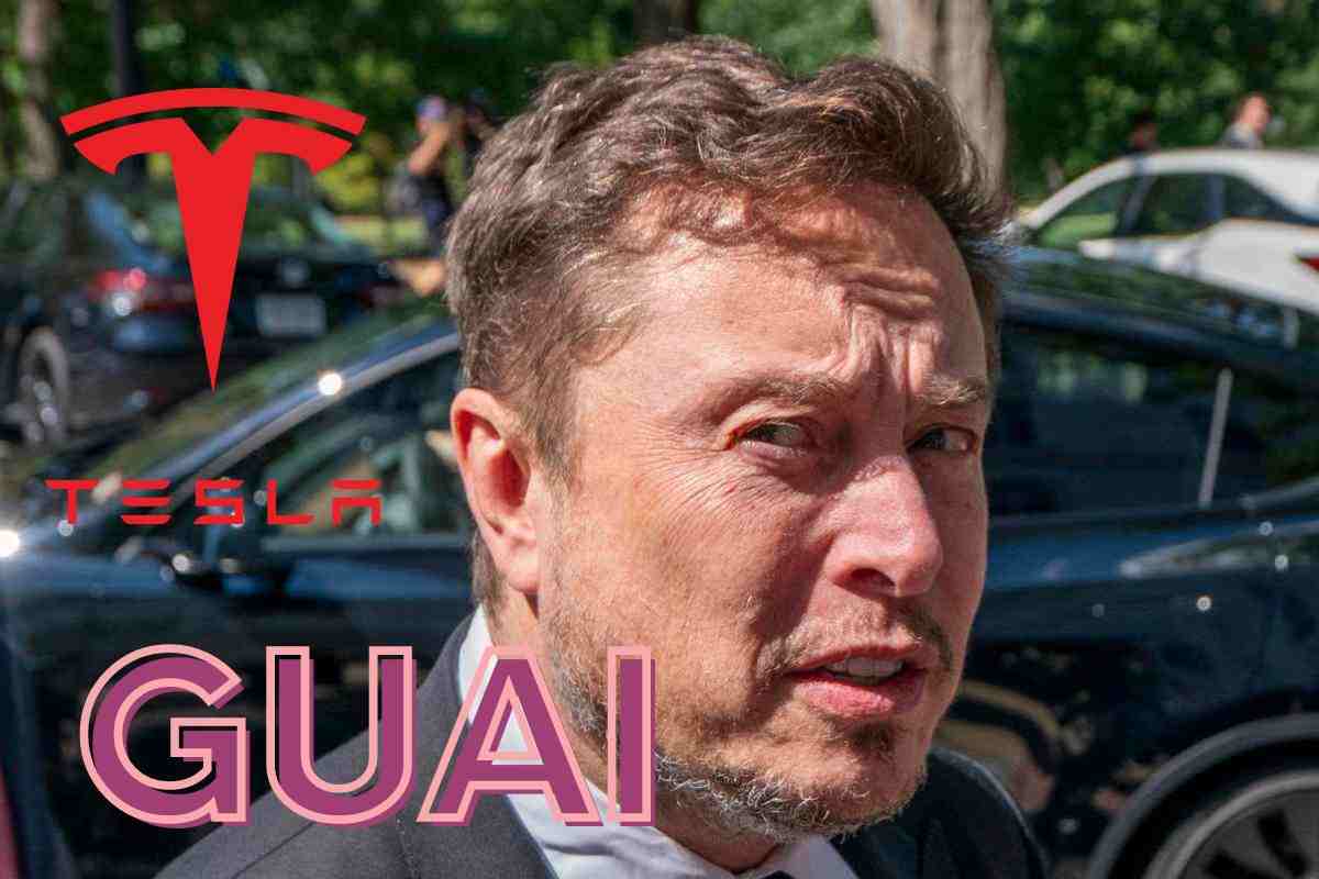 Elon Musk problemi Tesla sentenza persa Model 3