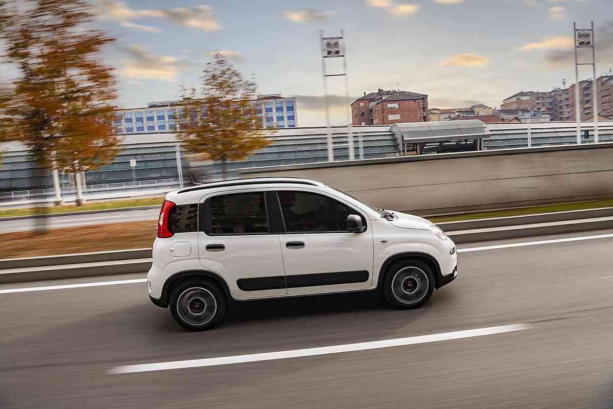 fiat panda bonus tricolore