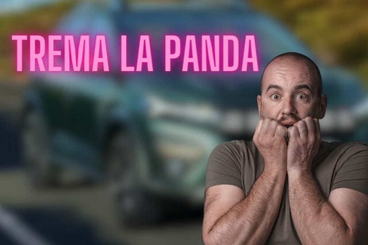 Auto sfida la Panda