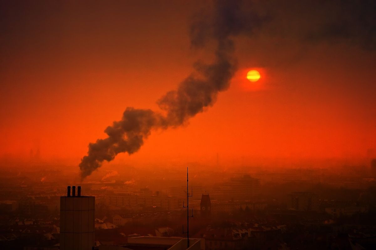 Effetti dello smog