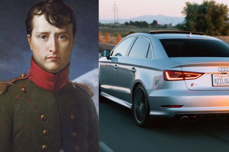 Napoleone guida tutta la storia