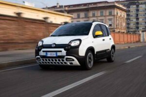 Panda da soli 6 mila euro