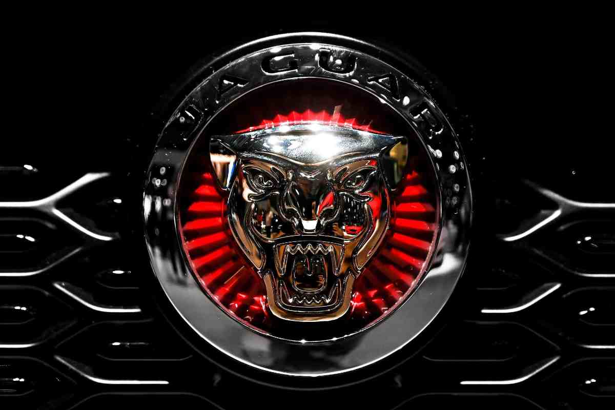 Jaguar in crisi