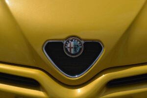 Alfa Romeo mostro eccezionale