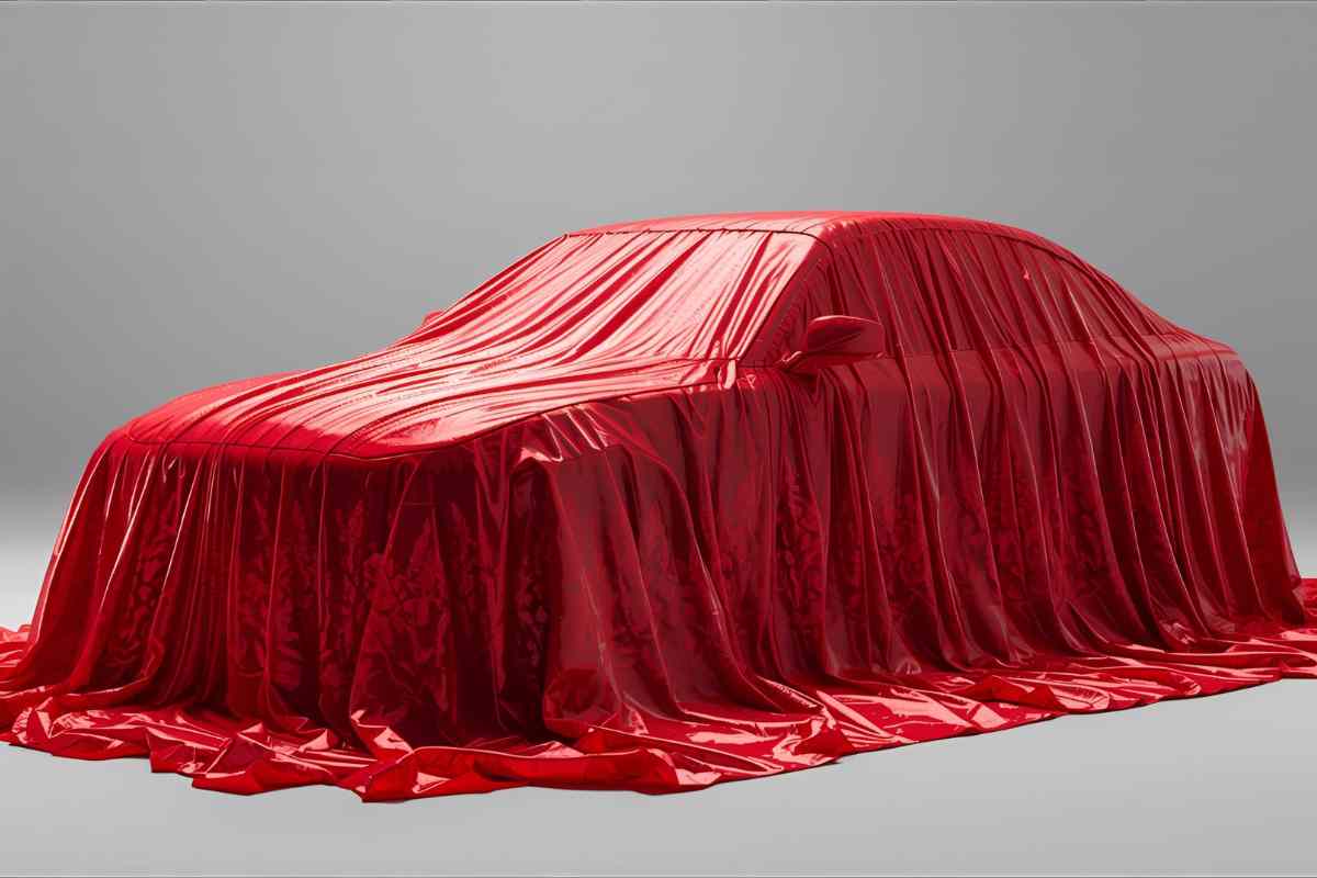 Auto coperta da velo