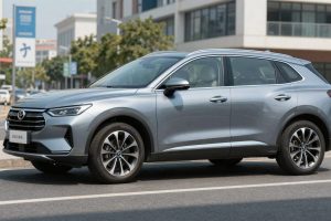 Cruise Control: Funzione utile ma va usato correttamente