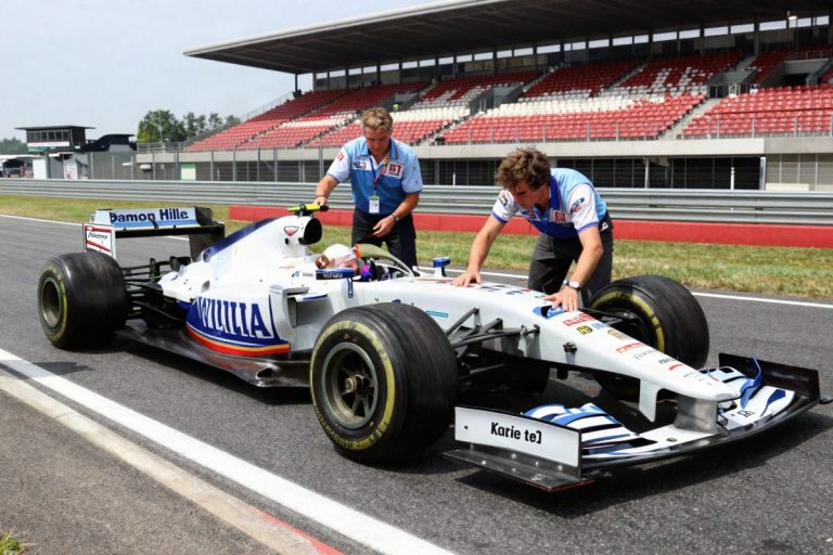 Damon Hill: alla guida della Williams FW08C a Grove